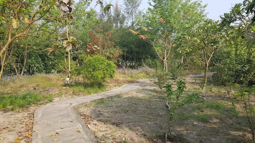 V Resorts Dudhwa Wilderness Camp Lakhimpur Exteriör bild